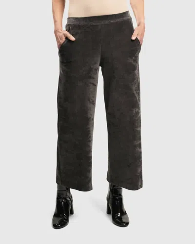 Alembika Urban Secret Crush Pants In Mink In Gray