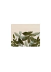 Alepel Cardholder In Olive Green