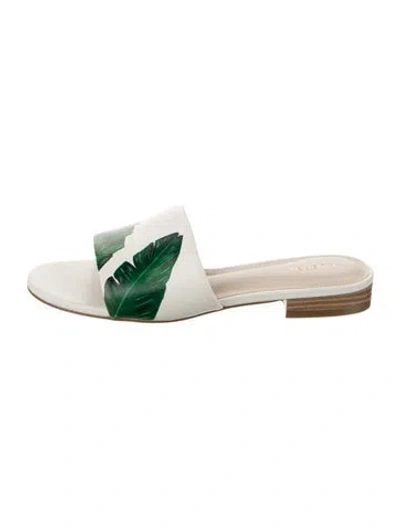 Pre-owned Alepel Leather Printed Slides In Neutral