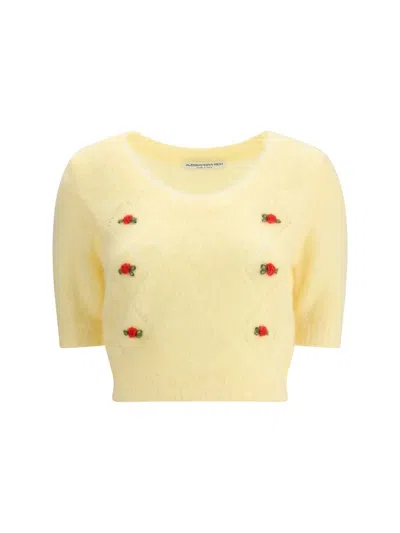 Alessandra Rich Short Sleeve Sweater In Multi