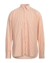 Alessandro Gherardi Man Shirt Apricot Size 15 Cotton In Orange