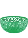 Alessi Mediterraneo Small Fruit Holder In Green