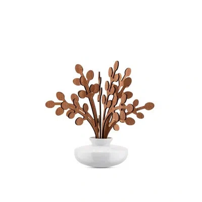 Alessi The Five Seasons Reed Diffusers And Sticks In Brown