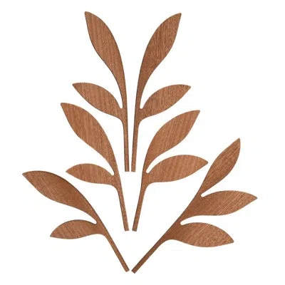 Alessi The Five Seasons Woodsy Reed Diffusers And Sticks In Brown