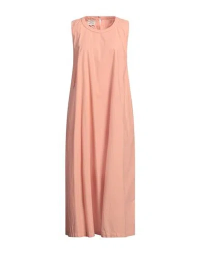Alessia Santi Woman Midi Dress Antique Rose Size 12 Cotton In Pink