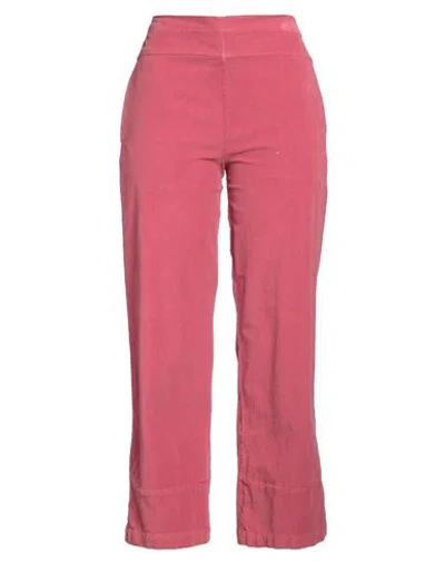 Alessia Santi Woman Pants Antique Rose Size 8 Cotton, Elastane In Pink