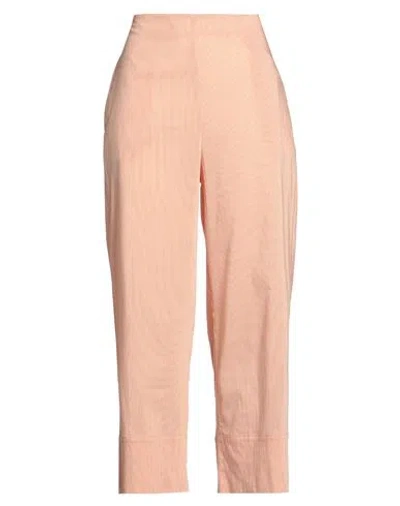 Alessia Santi Woman Pants Apricot Size 10 Cotton, Polyester In Orange