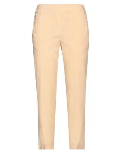 Alessia Santi Woman Pants Apricot Size 2 Cotton In Orange