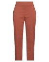 Alessia Santi Woman Pants Brown Size 10 Cotton, Polyamide, Elastane