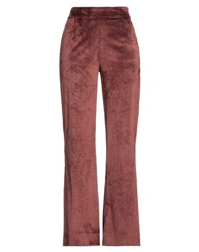 Alessia Santi Woman Pants Brown Size 4 Viscose, Cotton, Polyester, Elastane, Silk