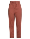 Alessia Santi Woman Pants Brown Size 8 Cotton In Brown