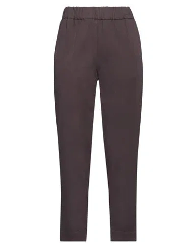 Alessia Santi Woman Pants Chocolate Brown Size 4 Cotton, Elastane