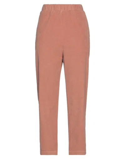 Alessia Santi Woman Pants Light Brown Size 2 Cotton, Elastane In Beige