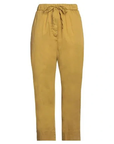 Alessia Santi Woman Pants Mustard Size 6 Cotton In Yellow