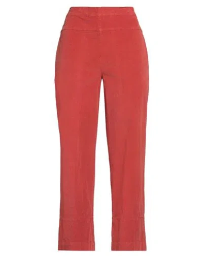 Alessia Santi Woman Pants Rust Size 4 Cotton, Elastane In Red