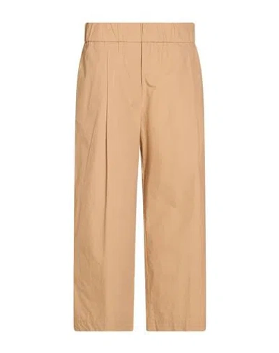 Alessia Santi Woman Pants Sand Size 10 Cotton In Brown
