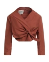 Alessia Santi Woman Top Brown Size 8 Cotton, Polyamide, Elastane