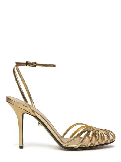 Alevì Blake 95 Shine Mekong In Gold