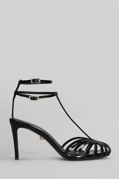 Alevì Milano Alevi Milano Anna 80 Sandals In Black