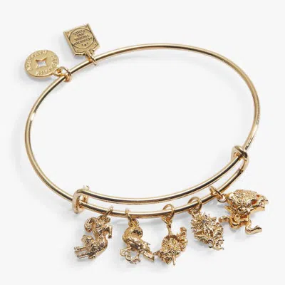 Alex And Ani A Court Of Thorns And Roses Book Covers Charm Bangle In Gold