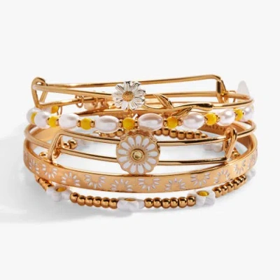 Alex And Ani Daisy Bangle Bracelet Set Of 5 In Gold