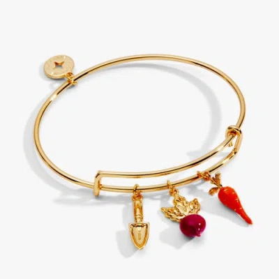 Alex And Ani Farmers' Market Multi Charm Bangle In Gold