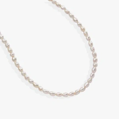 Alex And Ani Freshwater Pearl Necklace In Metallic