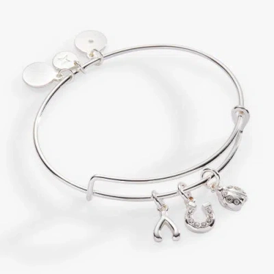 Alex And Ani Love And Luck Multi Charm Bangle Bracelet In Silver