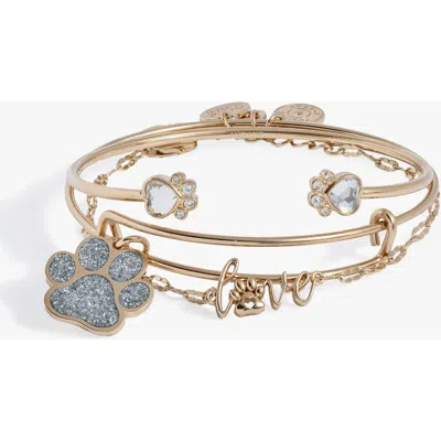 Alex And Ani 'paws Of Love' Bracelet Set Of 3 In Gold