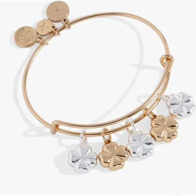 Alex And Ani Puffy Clover Multi Charm Bangle Bracelet In Gold