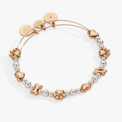Alex And Ani Puppy Love Beaded Bangle In Multi