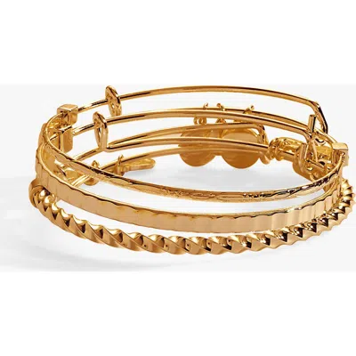Alex And Ani Set Of 3 Delicate Bangle Bracelets