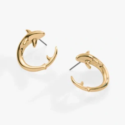 Alex And Ani Shark Hoop Earring In Gold