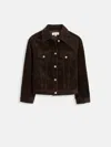Alex Mill Camden Rider Jacket In Corduroy In Black