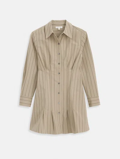 Alex Mill Camille Striped Shirtdress In Cotton Poplin In Brown