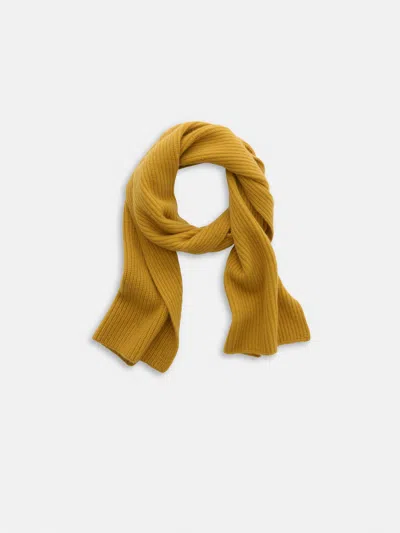 Alex Mill Cashmere Scarf In Brown