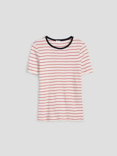 Alex Mill Cavan & Co. Heritage Tee In Natural/red