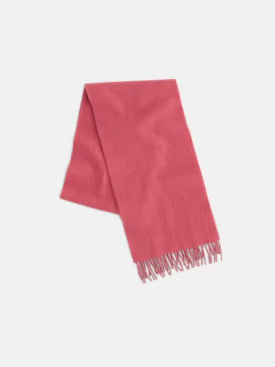 Alex Mill Joshua Ellis Cashmere Scarf In Rose