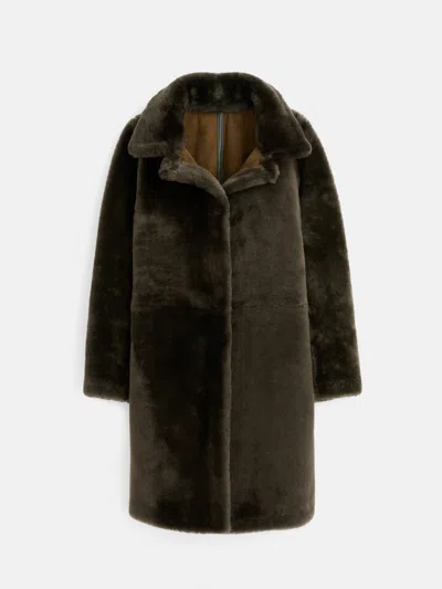 Alex Mill Owen Barry Shearling Dorset Coat In Olive
