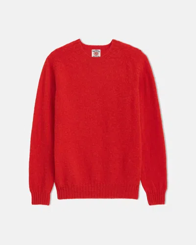 Alex Mill X J.press Shaggy Dog Crew In Red