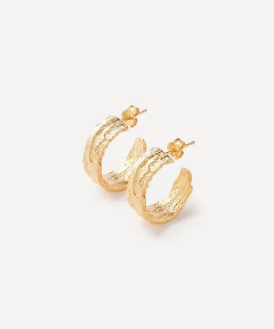 Alex Monroe 22ct Gold-plated Wide Bark Hoop Earrings