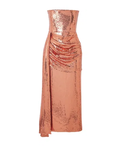Alex Perry Maxi Evening Dress In Multi