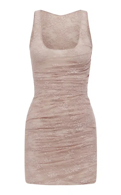 Alex Perry Singlet Sheer Stretch Lace Mini Dress In Pink