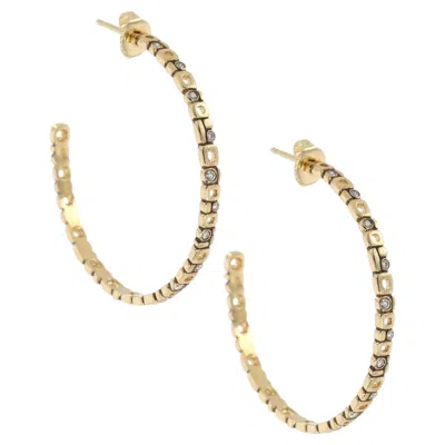 Pre-owned Alex Sepkus 18k Yellow Gold Micro Windows Large Diamond Hoop Earrings � Luxury D