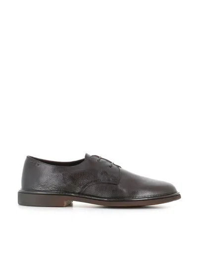 Alexander Hotto Derby 67020 In Brown