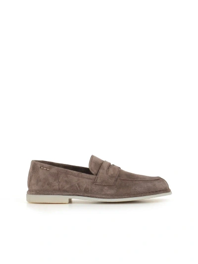 Alexander Hotto Loafer 65614 In Turtledove