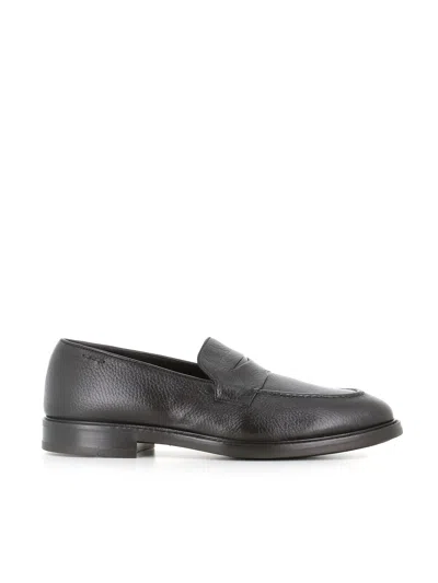 Alexander Hotto Loafer 68001 In Brown