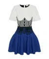 Alexander Mcqueen A Girdle Mini Dress In Blue