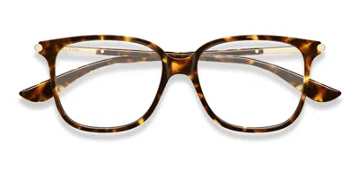 Alexander Mcqueen Am0554o Tortoise In Brown