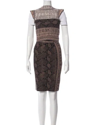 Pre-owned Alexander Mcqueen Animal Print Ruffle Embellishment Skirt Set In Neutral